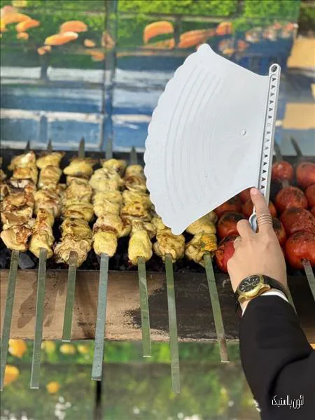 بادبزن دسته دار لئون پلاستیک